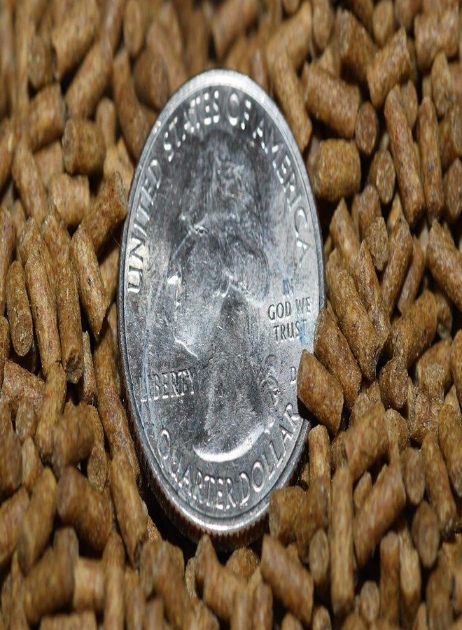 Wpc-Co. Aquarium Shrimp Food - Sinking Pellets for Aquatic Shrimp, Snail, Bottom Feeders - Complete Nutrition for Tropical Shrimps and Other Invertebrates - Image 4